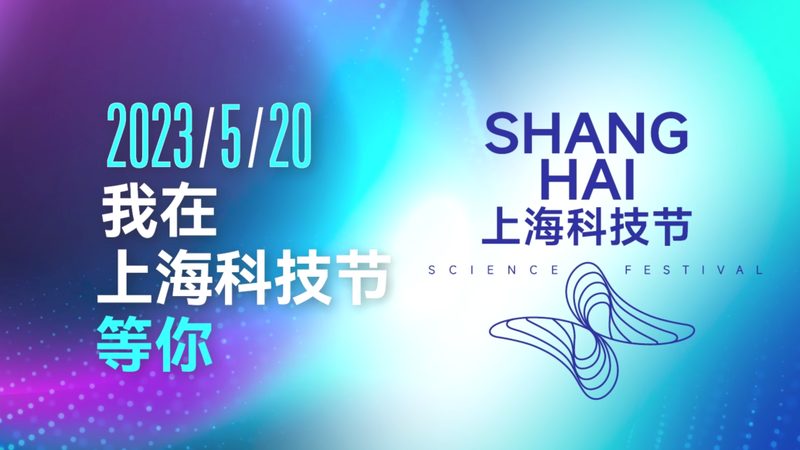 上海数据服务公司：解析其优缺点，助力企业明智选择